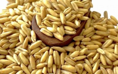 Oats 1kg