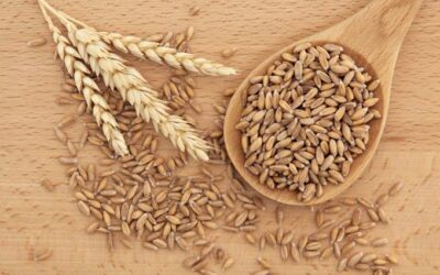 Spelt 1kg