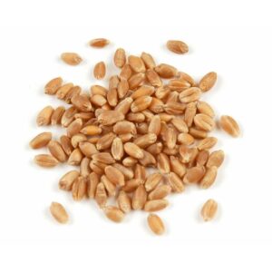 300#1.jpg. Red Hard Wheat Organic 1kg