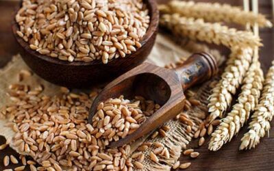 Wheat 1kg
