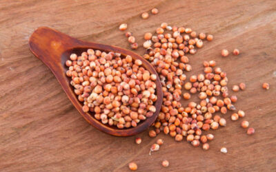 Sorghum 2kg